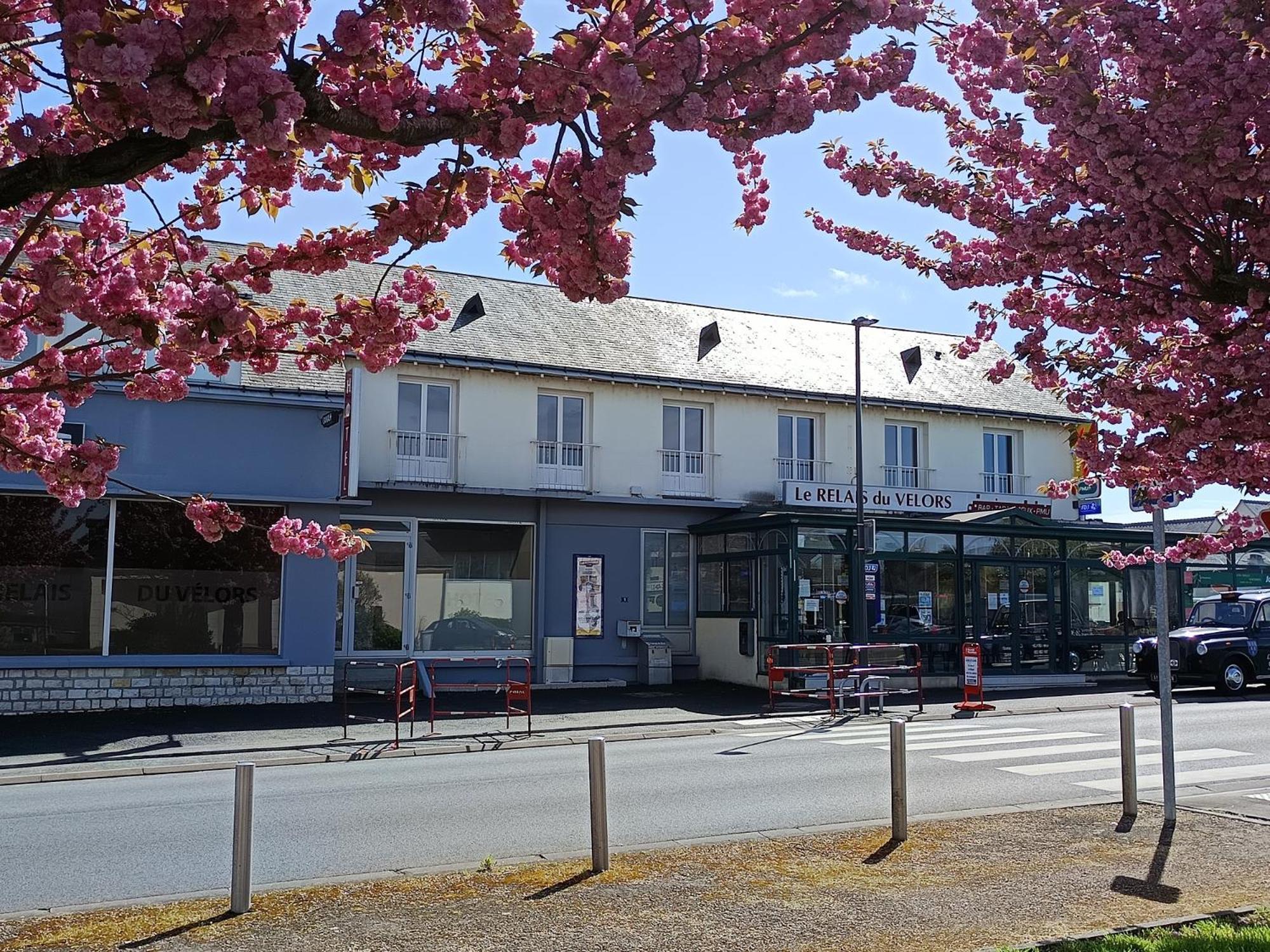 Le Relais Du Velors Hotel Beaumont-en-Veron Bagian luar foto